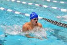 Swimming & Diving vs Babson  Swimming & Diving vs Babson College. - Photo by Keith Nordstrom : Wheaton, Swimming